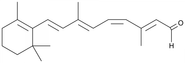 11-cis Retinal