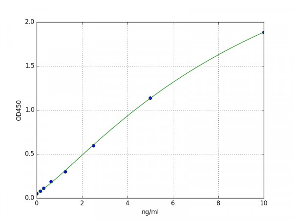 Human LC3B / MAP1LC3B ELISA Kit