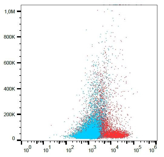 Anti-CD197 / CCR7, clone 4B12