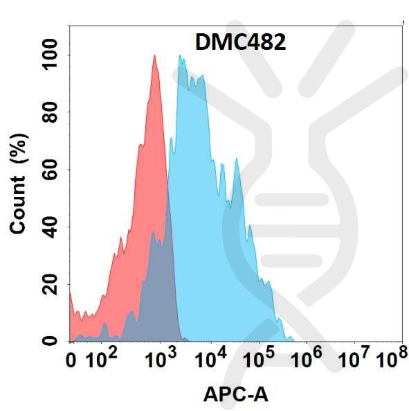 Anti-GPR77 antibody(DMC482), IgG1 Chimeric mAb