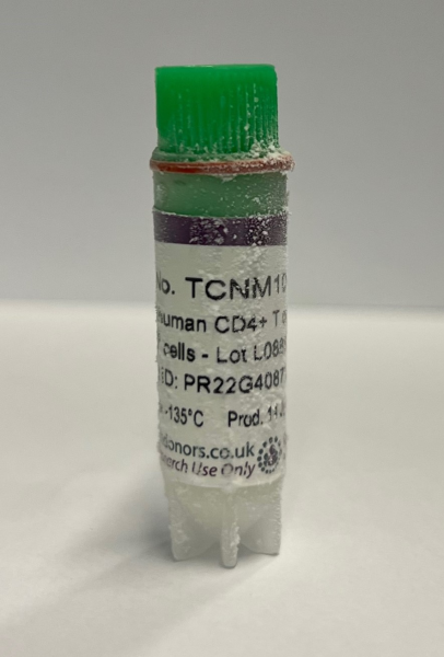 Frozen human CD4+ T cells - male donor