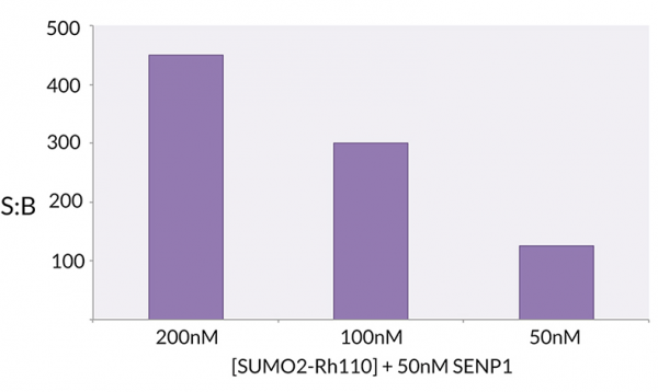 SUMO2 (human) (rec.) (Rhodamine 110)