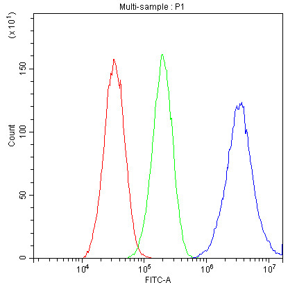 Anti-Apolipoprotein E