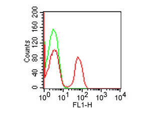 Anti-CD4, clone RPA-T4, Fluorescein Conjugated