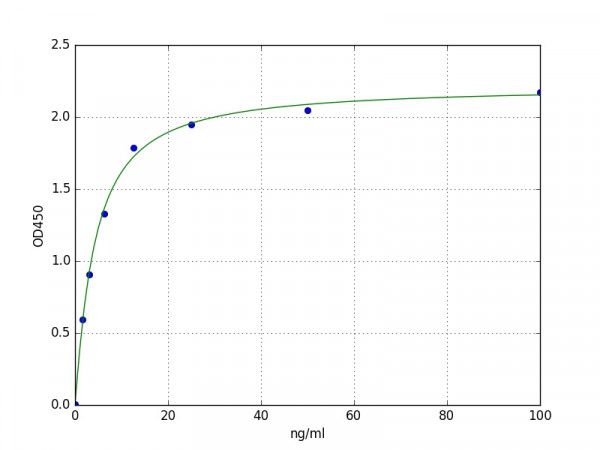 Human FLNA / Filamin A, Alpha ELISA Kit
