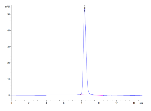 Mouse BACE-1 Protein