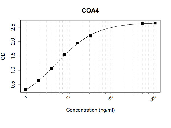 Anti-Human COA4 Antibody Pair