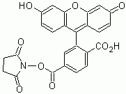 6-FAM, SE (6-Carboxyfluorescein, succinimidyl ester) *Validated for labeling oligos*