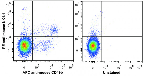 Anti-NK1.1 (mouse) (PE Conjugated), clone PK136