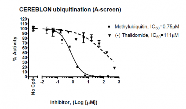 Cereblon Ubiquitination Homogeneous Assay Kit