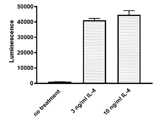 STAT6 Luciferase Reporter Lentivirus (STAT6 Signaling Pathway)