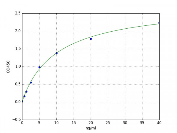 Human Tyrosinase ELISA Kit