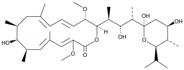 Bafilomycin A1