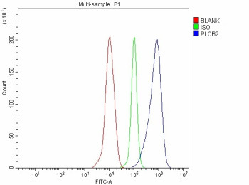 Anti-PLCB2 / Phospholipase C-beta-2