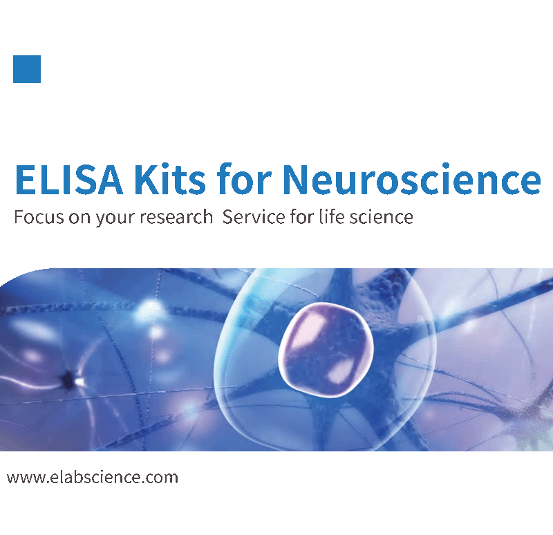 Elabscience Neuroscience ELISA Kits