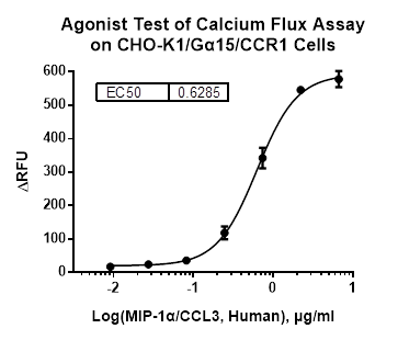 CHO-K1/Galpha15/CCR1
