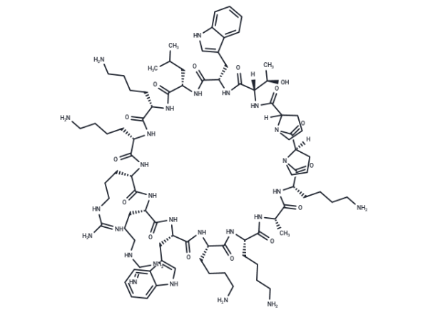 Cyclic L27-11