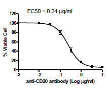 Anti-CD20