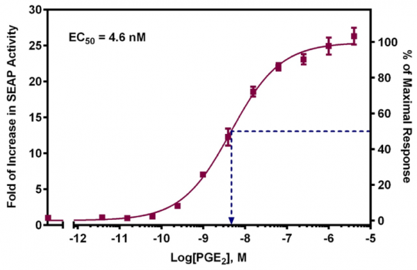 EP2 Receptor (human) Reporter Assay Kit