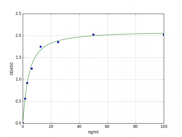 Human CBS ELISA Kit