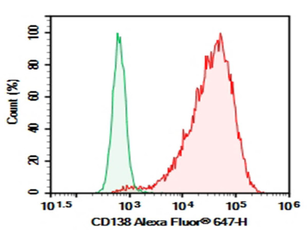 Purified Anti-Human CD138 Antibody [DL-101]