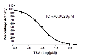 HDAC2 Fluorogenic Assay Kit