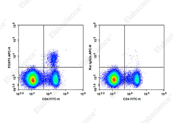 Anti-Foxp3 (mouse/rat), clone FJK-16s, APC conjugated