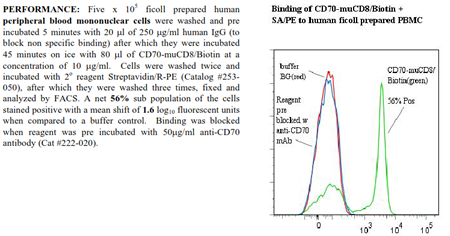 CD70 -muCD8 Fusion Protein, (human), Biotin conjugated