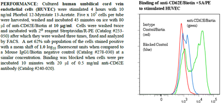 Anti-CD62E (human), clone HAE-1f, Biotin conjugated