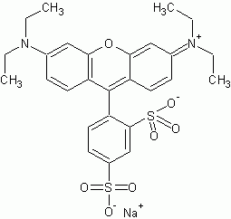 Sulforhodamine B *Fluorescence reference standard*