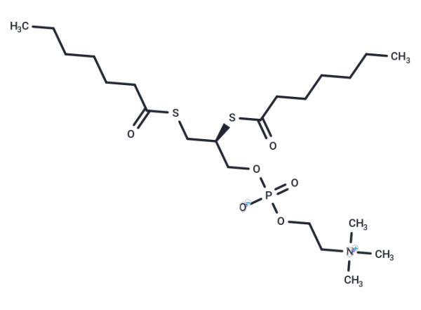 1,2-bis(heptanoylthio) Glycerophosphocholine