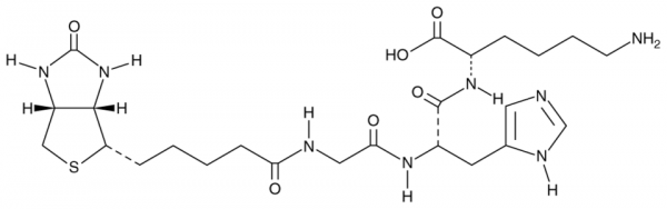 Biotin Tripeptide-1