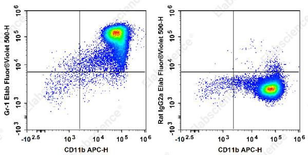 Elab Fluor(R) Violet 500 Anti-Mouse Ly-6G/Ly-6C (Gr-1) Antibody[RB6-8C5]