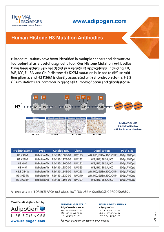 Human Histone H3 Mutation Antibodies