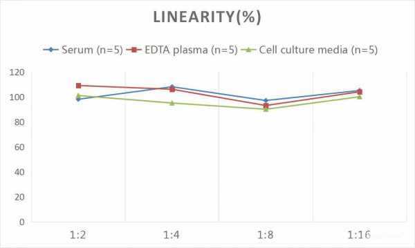 Human NGF (Nerve Growth Factor) CLIA Kit