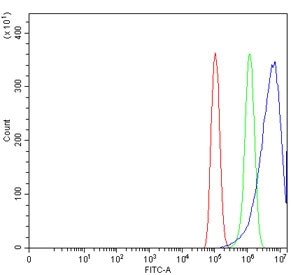 Anti-Retinol dehydrogenase 10 / RDH10