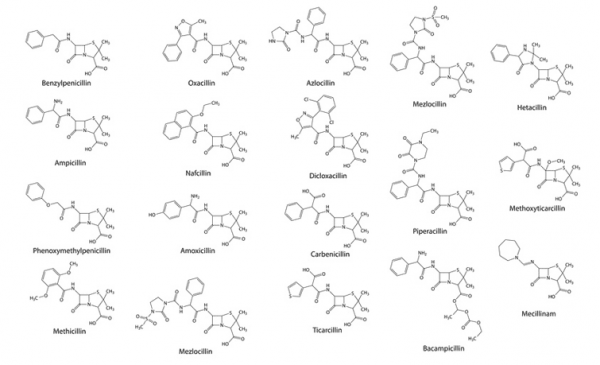 Penicillins