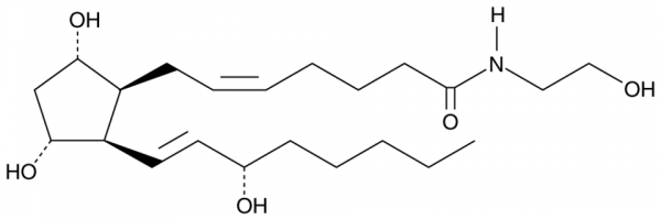 8-iso Prostaglandin F2alpha Ethanolamide