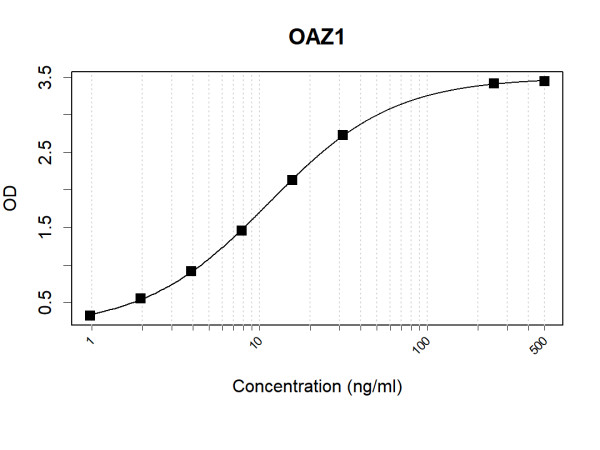 Anti-Human OAZ1 Antibody Pair