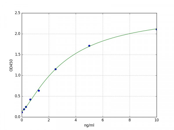 Human T-bet / TBX21 ELISA Kit