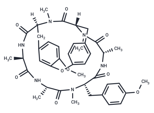 RA VII