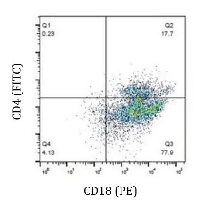Anti-CD18 / LFA1 beta, clone BAQ30A