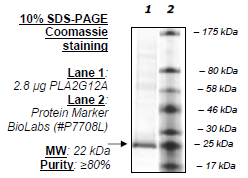 PLA2G12A, human recombinant protein