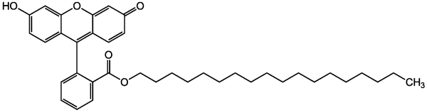 Fluorescein octadecyl ester