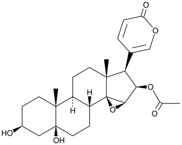 Cinobufotalin