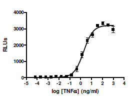 NF-kappaB Luciferase Reporter A549 Cell Line