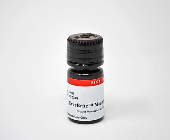 EverBrite TrueBlack(R) Hardset Mounting Medium with DAPI
