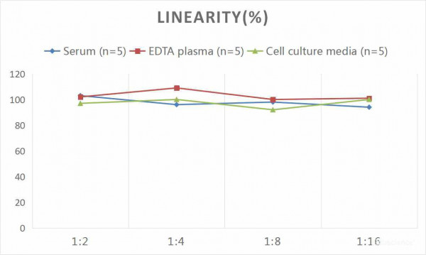 Mouse F8 (Coagulation Factor VIII) CLIA Kit