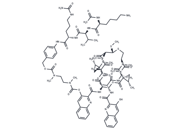 AcLysValCit-PABC-DMAE-SW-163D