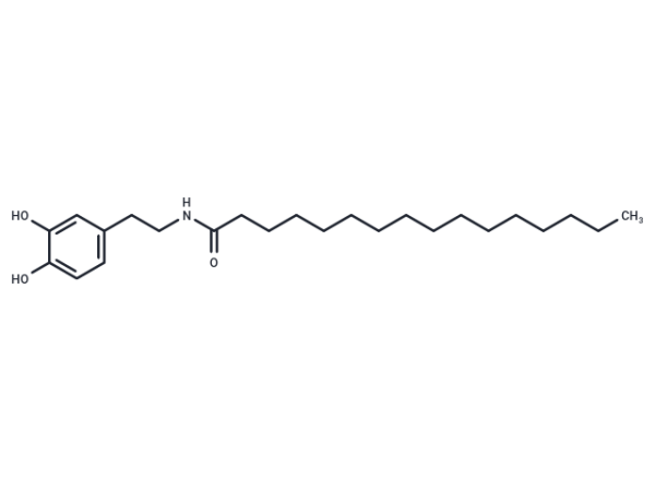 PALDA
